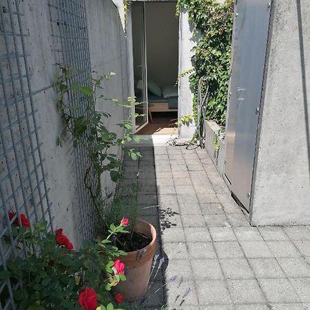 Gastezimmer Fischergarten 索洛图恩 外观 照片