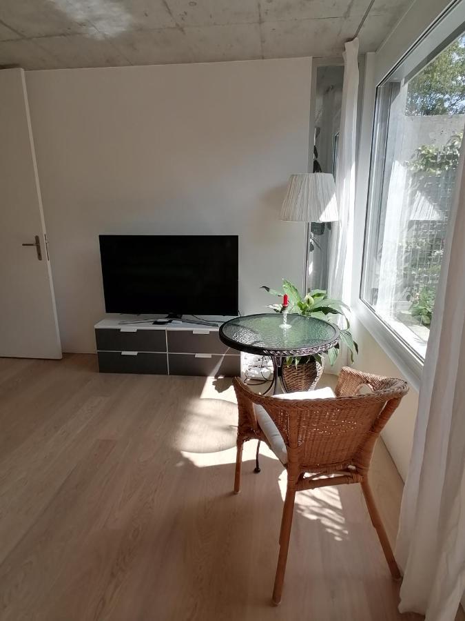 Gastezimmer Fischergarten 索洛图恩 外观 照片