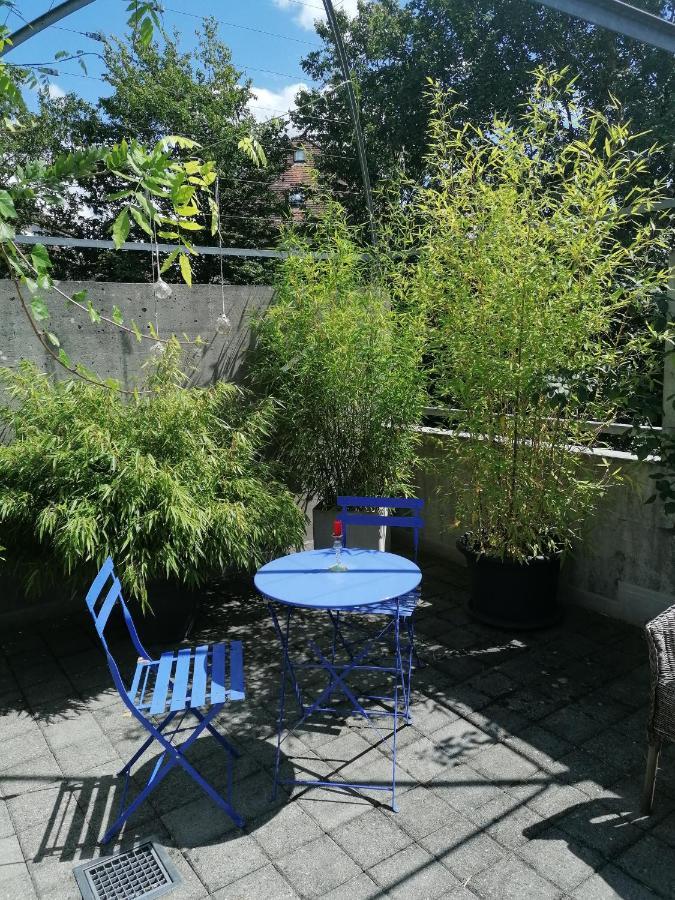 Gastezimmer Fischergarten 索洛图恩 外观 照片