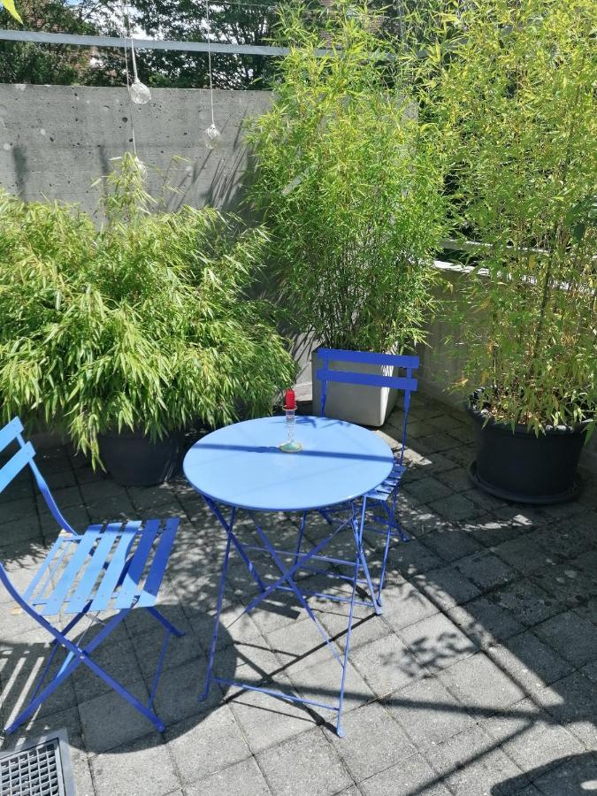 Gastezimmer Fischergarten 索洛图恩 外观 照片