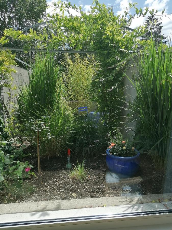 Gastezimmer Fischergarten 索洛图恩 外观 照片