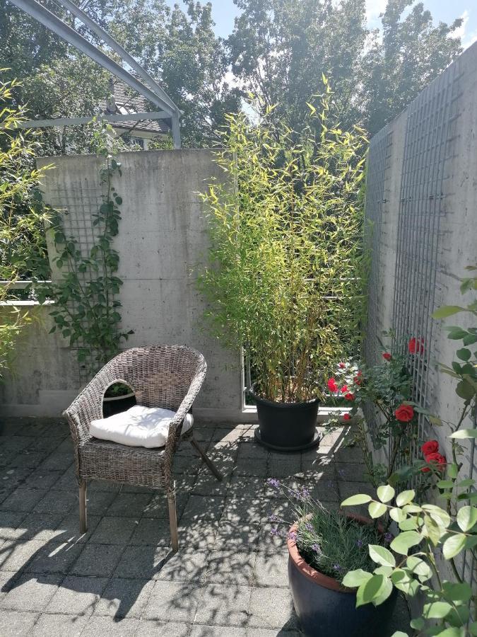 Gastezimmer Fischergarten 索洛图恩 外观 照片